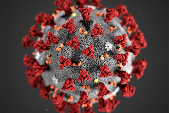 Koronavirus